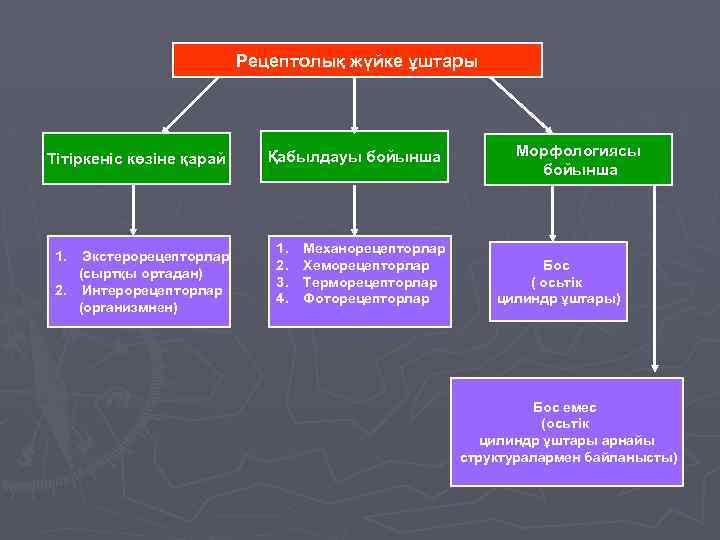 Рецептолық жүйке ұштары Тітіркеніс көзіне қарай 1. Экстерорецепторлар (сыртқы ортадан) 2. Интерорецепторлар (организмнен) Қабылдауы