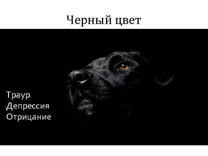 Черный цвет Траур Депрессия Отрицание 
