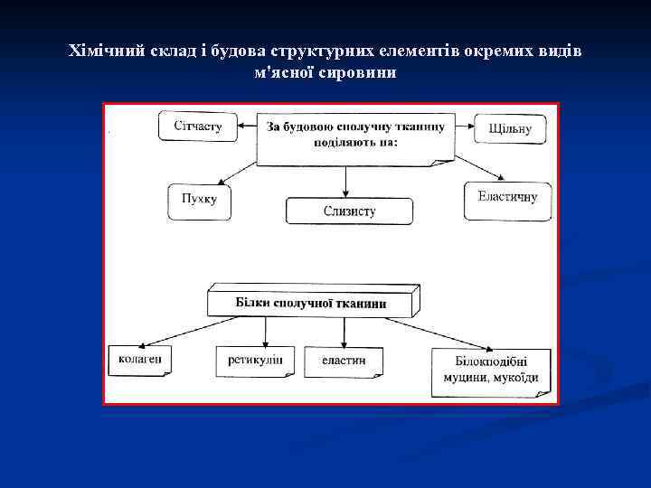 Хімічний склад і будова структурних елементів окремих видів м'ясної сировини 