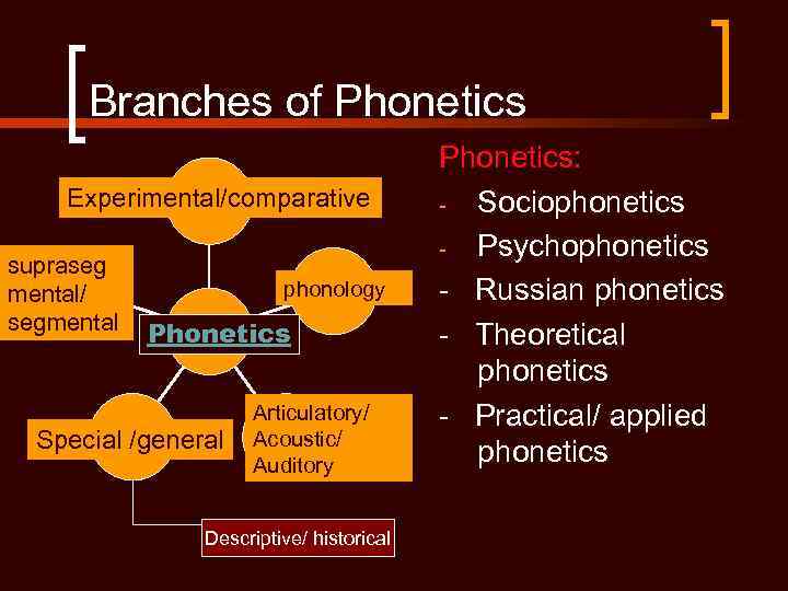 Branches of Phonetics Experimental/comparative supraseg mental/ segmental phonology Phonetics Special /general Articulatory/ Acoustic/ Auditory