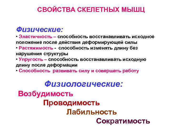 Свойства мышечной. Физические и физиологические свойства скелетных мышц. Основные физиологические свойства мышц. Физиологические свойства скелетных мышц. Физико-химические свойства мышц физиология.