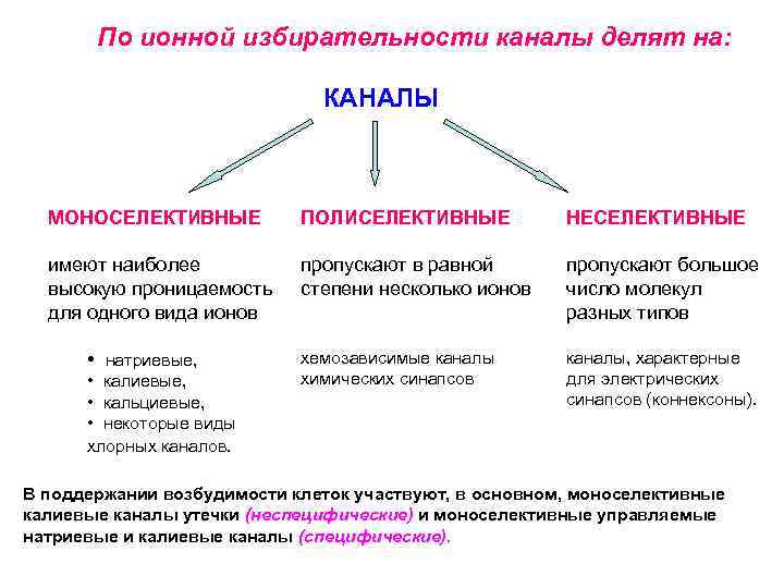 По ионной избирательности каналы делят на: КАНАЛЫ МОНОСЕЛЕКТИВНЫЕ ПОЛИСЕЛЕКТИВНЫЕ НЕСЕЛЕКТИВНЫЕ имеют наиболее высокую проницаемость