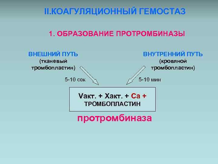 II. КОАГУЛЯЦИОННЫЙ ГЕМОСТАЗ 1. ОБРАЗОВАНИЕ ПРОТРОМБИНАЗЫ ВНЕШНИЙ ПУТЬ ВНУТРЕННИЙ ПУТЬ (тканевый тромбопластин) (кровяной тромбопластин)