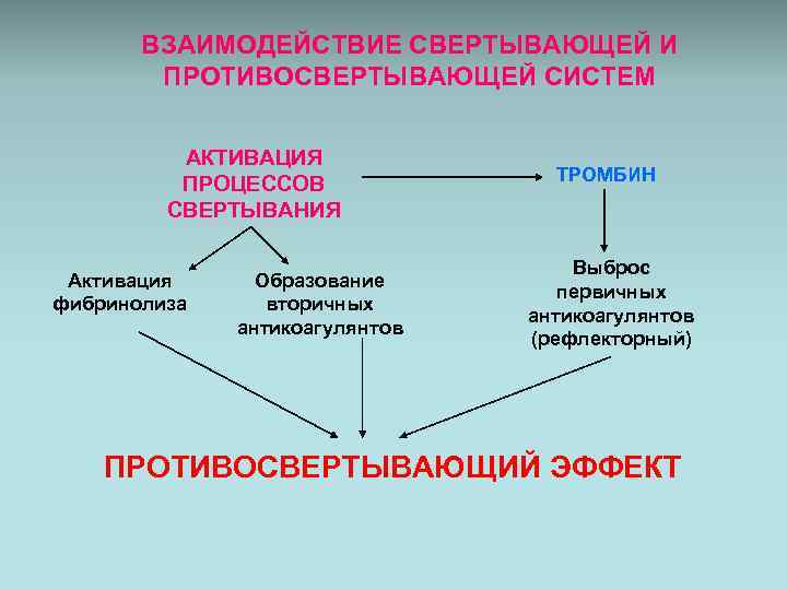 Свертывающая и противосвертывающая система крови презентация