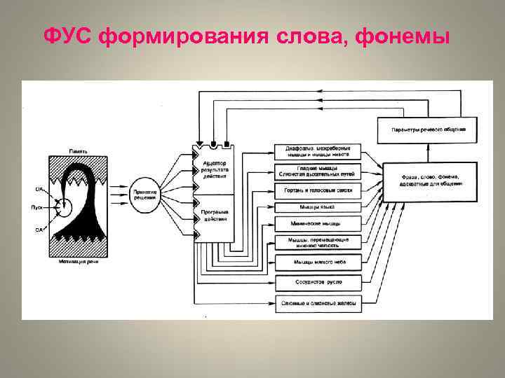 Блок схема болевого анализатора