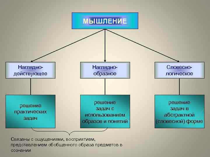 МЫШЛЕНИЕ Нагляднодействующее Нагляднообразное Словеснологическое решение практических задач решение задач с использованием образов и понятий