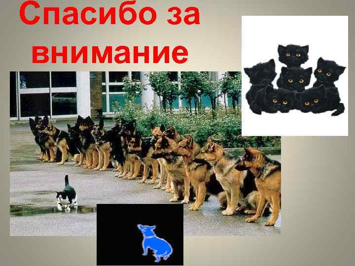 Спасибо за внимание 