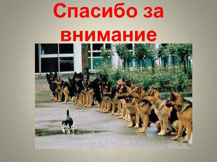 Спасибо за внимание 