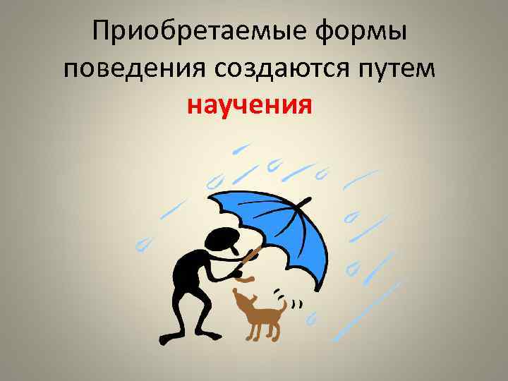 Врожденное и приобретенное поведение 8 класс презентация