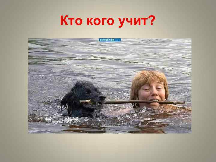 Кто кого учит? 