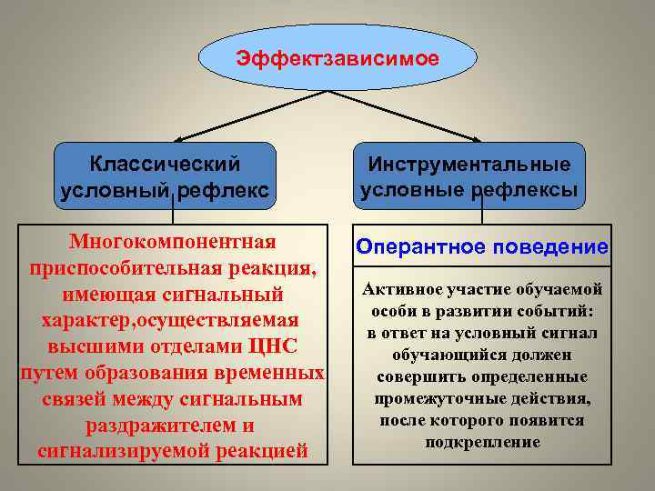 Свободные условно свободные экспериментальные