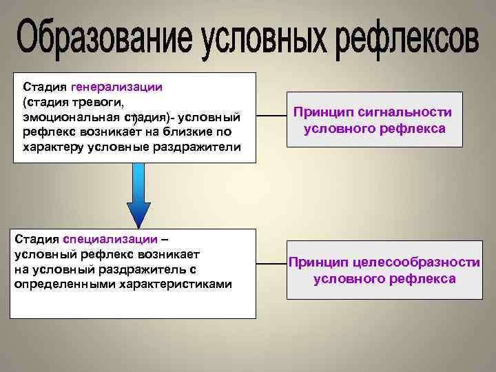 К факторам определяющим степень генерализации изображения на карте относятся