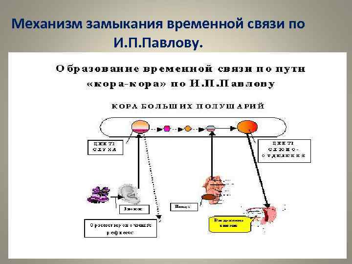 Видо временная связь