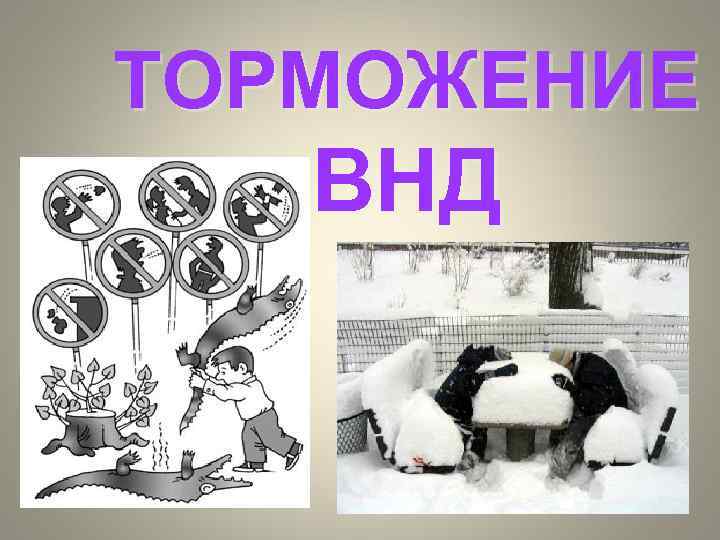 ТОРМОЖЕНИЕ ВНД 