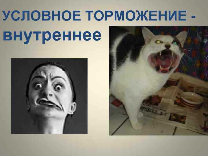 УСЛОВНОЕ ТОРМОЖЕНИЕ - внутреннее 