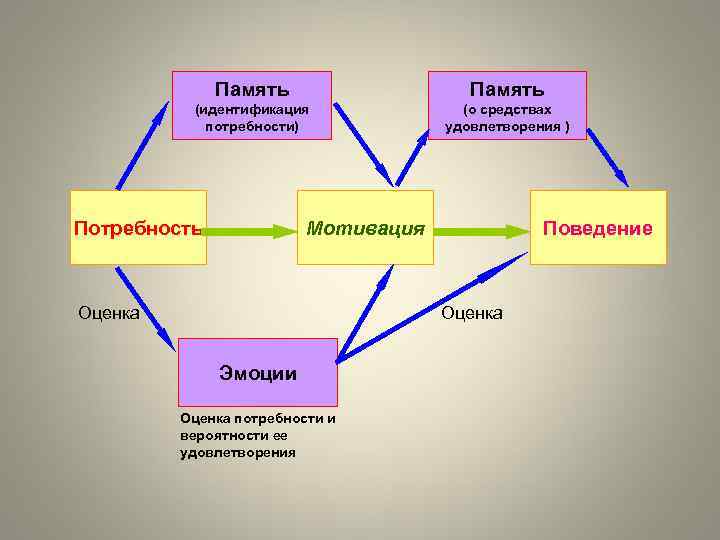 Память (идентификация потребности) (о средствах удовлетворения ) Потребность Мотивация Поведение Оценка Эмоции Оценка потребности