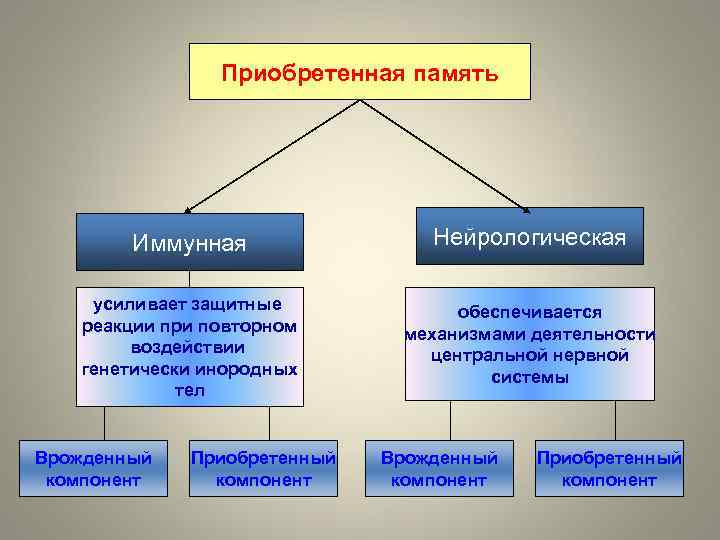 Приобретенный примеры