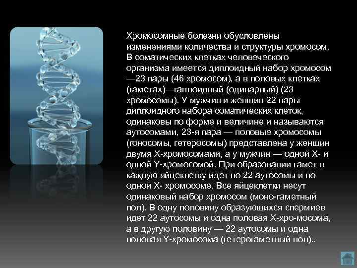 Синдром полисомии х хромосомы презентация