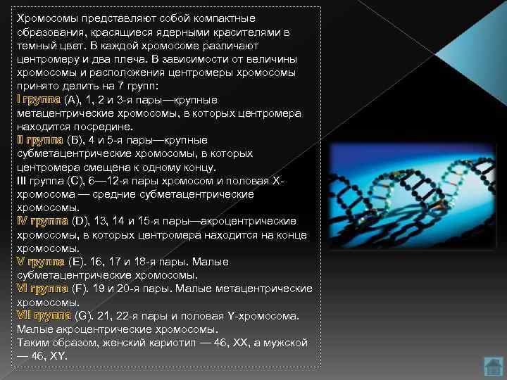 Хромосомы представляют собой компактные образования, красящиеся ядерными красителями в темный цвет. В каждой хромосоме