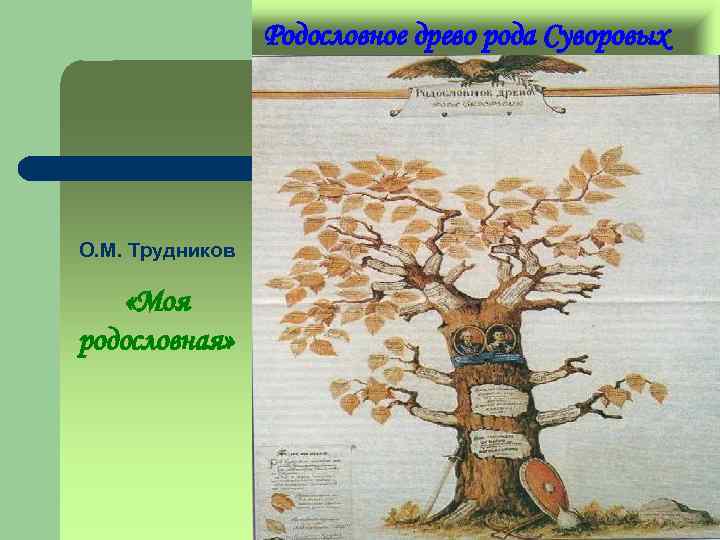 Родословное древо рода Суворовых О. М. Трудников «Моя родословная» 