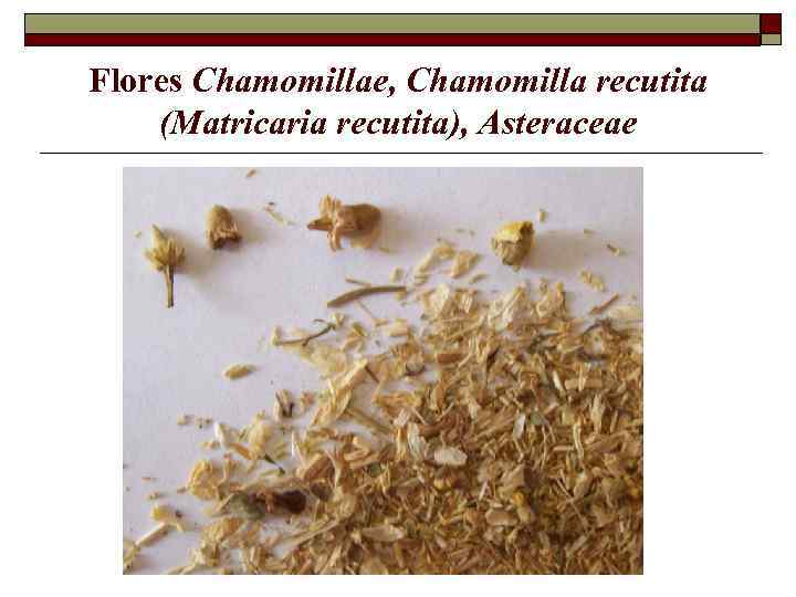 Flores Chamomillae, Chamomilla recutita (Matricaria recutita), Asteraceae 