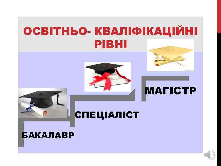 ОСВІТНЬО- КВАЛІФІКАЦІЙНІ РІВНІ МАГІСТР СПЕЦІАЛІСТ БАКАЛАВР 