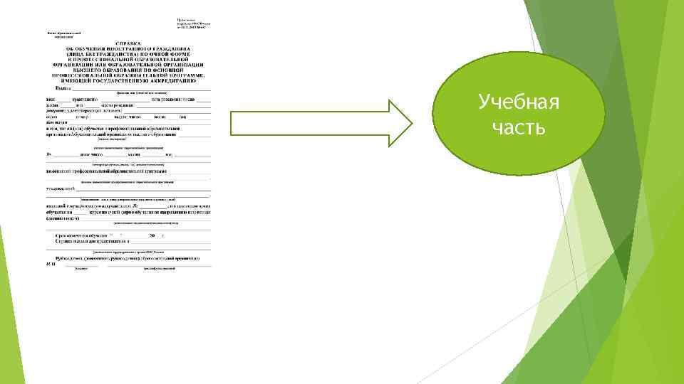 Учебная часть Справка из ВУЗа 