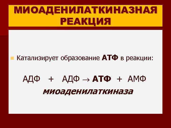 МИОАДЕНИЛАТКИНАЗНАЯ РЕАКЦИЯ n Катализирует образование АТФ в реакции: АДФ + АДФ АТФ + АМФ
