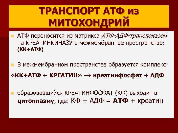 ТРАНСПОРТ АТФ из МИТОХОНДРИЙ n АТФ переносится из матрикса АТФ-АДФ-транслоказой на КРЕАТИНКИНАЗУ в межмембранное