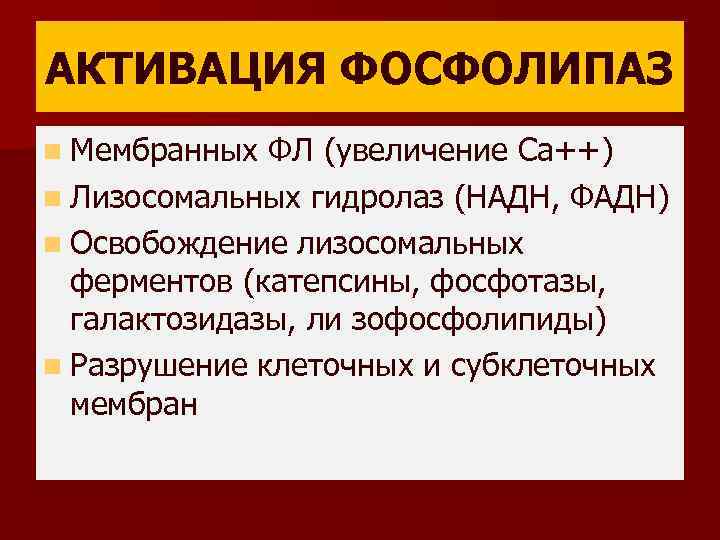 АКТИВАЦИЯ ФОСФОЛИПАЗ n Мембранных ФЛ (увеличение Са++) n Лизосомальных гидролаз (НАДН, ФАДН) n Освобождение