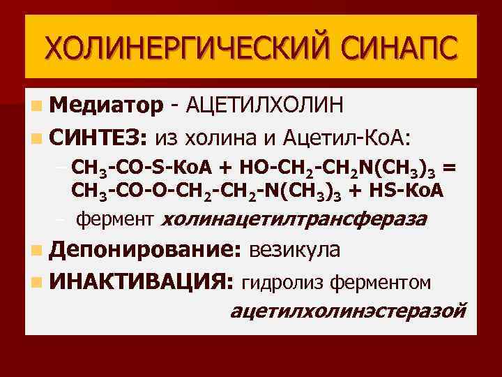 ХОЛИНЕРГИЧЕСКИЙ СИНАПС n Медиатор - АЦЕТИЛХОЛИН n СИНТЕЗ: из холина и Ацетил-Ко. А: –