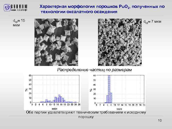 Характерная морфология порошков Pu. O 2, полученных по технологии оксалатного осаждения dср 15 мкм