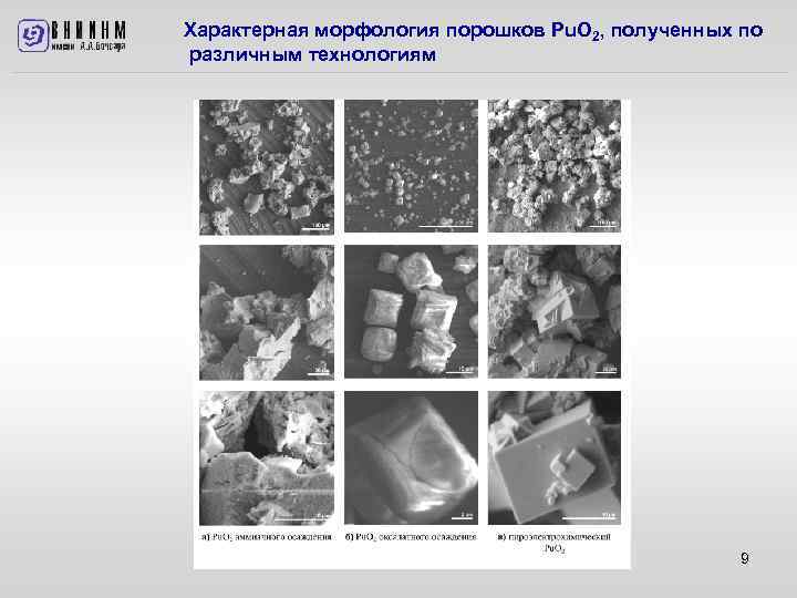 Характерная морфология порошков Pu. O 2, полученных по различным технологиям 9 