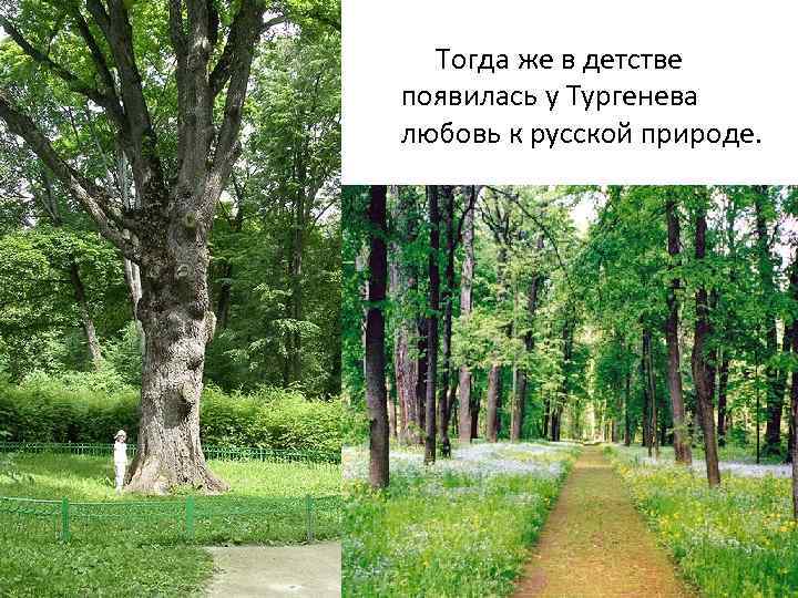 Тогда же в детстве появилась у Тургенева любовь к русской природе. 