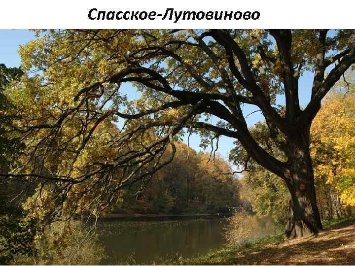 Спасское-Лутовиново 