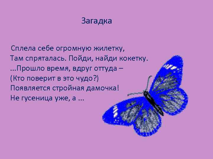  Загадка Сплела себе огромную жилетку, Там спряталась. Пойди, найди кокетку. . Прошло время,