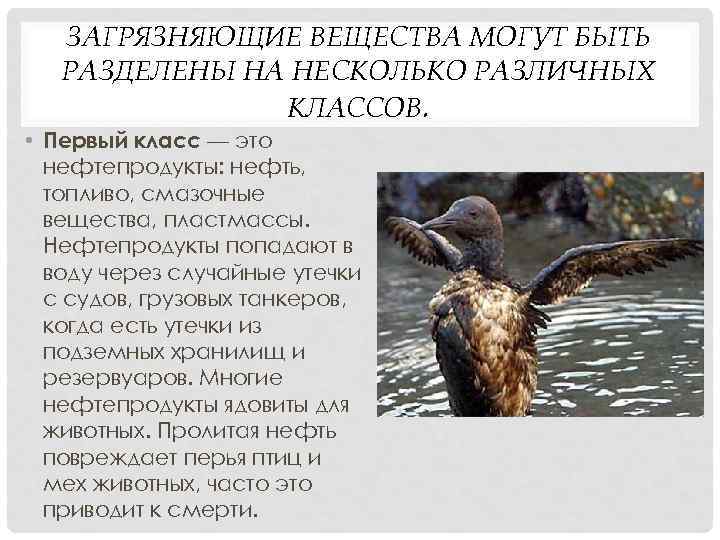 ЗАГРЯЗНЯЮЩИЕ ВЕЩЕСТВА МОГУТ БЫТЬ РАЗДЕЛЕНЫ НА НЕСКОЛЬКО РАЗЛИЧНЫХ КЛАССОВ. • Первый класс — это