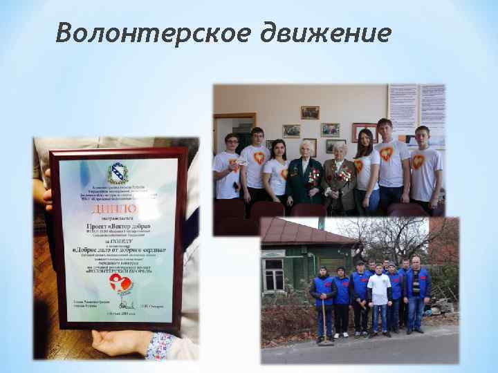 Волонтерское движение 