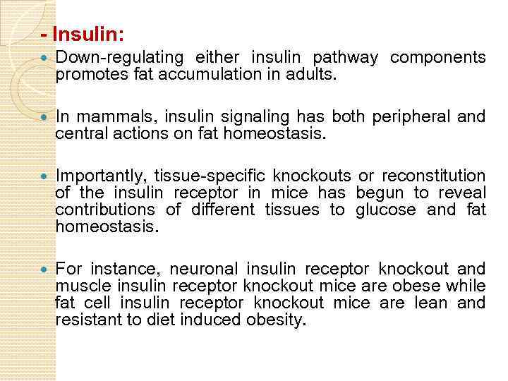 - Insulin: Down-regulating either insulin pathway components promotes fat accumulation in adults. In mammals,