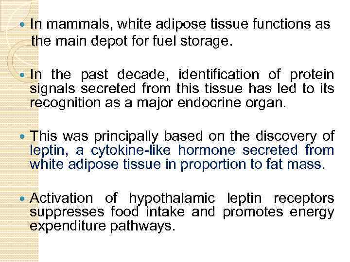  In mammals, white adipose tissue functions as the main depot for fuel storage.