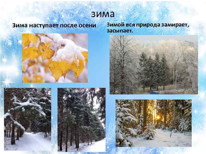 зима Зима наступает после осени Зимой вся природа замирает, засыпает. 
