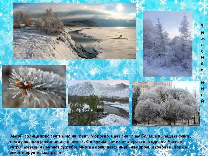 З и м а с н е г и н е й Зимой солнце