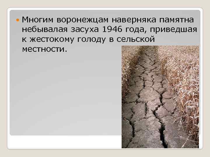  Многим воронежцам наверняка памятна небывалая засуха 1946 года, приведшая к жестокому голоду в