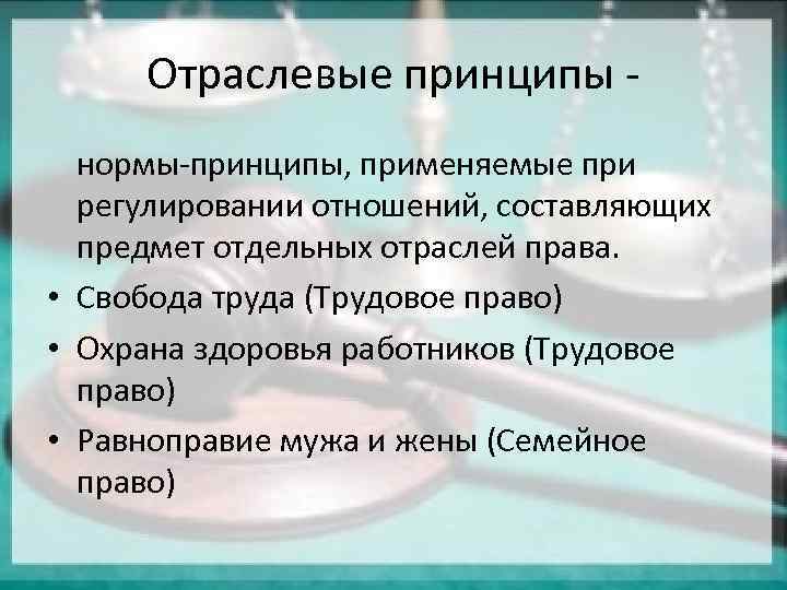 Отраслевыми принципами являются. Отраслевые принципы примеры. Нормы принципы.