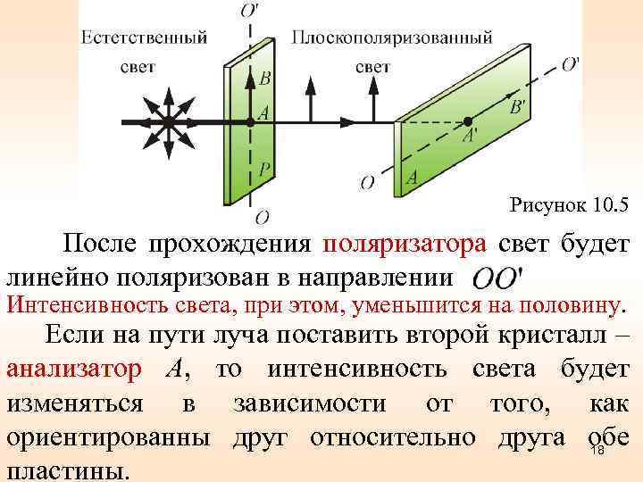 Рисунок 10. 5 После прохождения поляризатора свет будет линейно поляризован в направлении Интенсивность света,