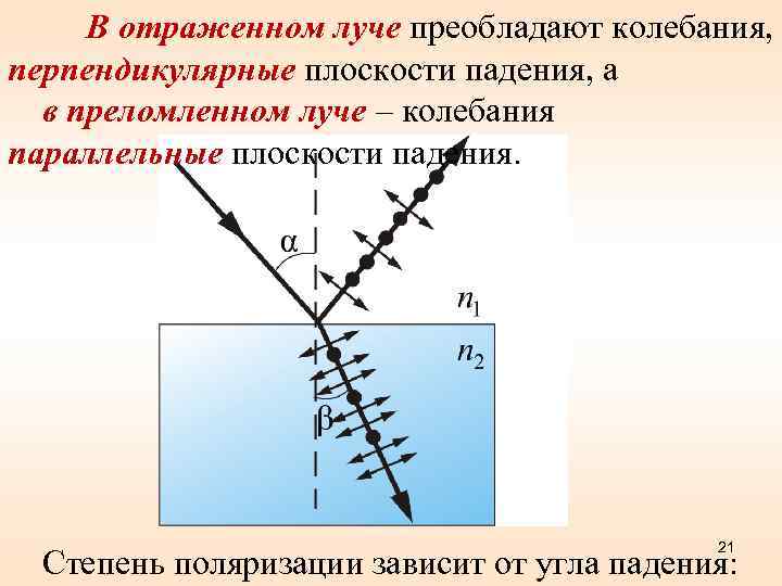 В отраженном луче преобладают колебания, перпендикулярные плоскости падения, а в преломленном луче – колебания