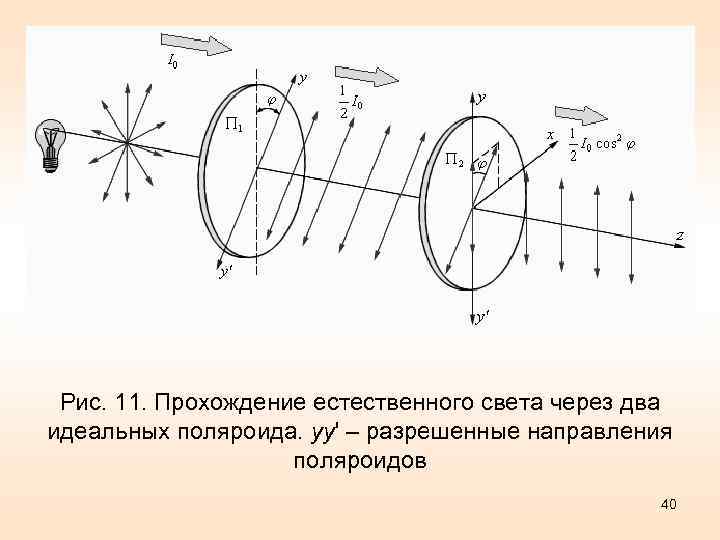 Рис. 11. Прохождение естественного света через два идеальных поляроида. yy' – разрешенные направления поляроидов