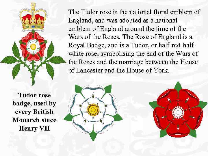 The Tudor rose is the national floral emblem of England, and was adopted as