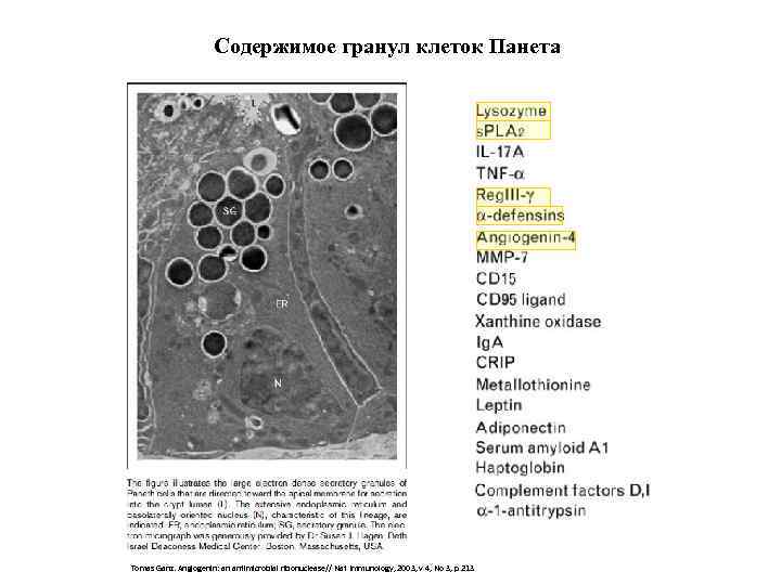 Содержимое гранул клеток Панета Tomas Ganz. Angiogenin: an antimicrobial ribonuclease// Nat Immunology, 2003, v