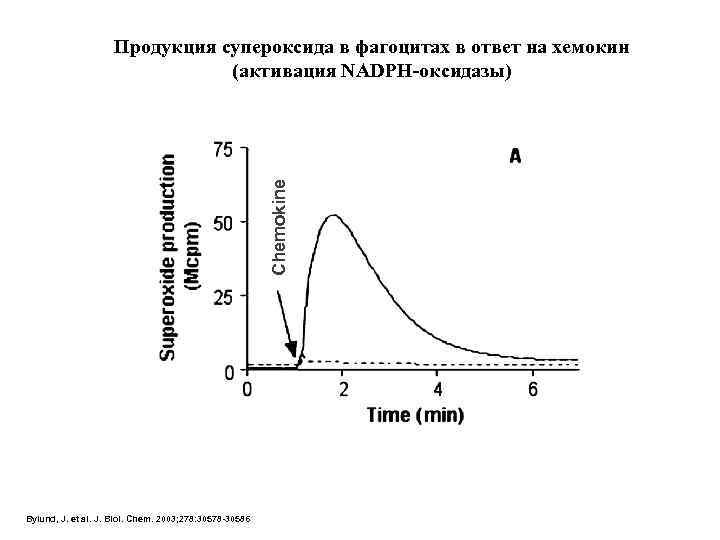 Chemokine Продукция супероксида в фагоцитах в ответ на хемокин (активация NADPH-оксидазы) Bylund, J. et